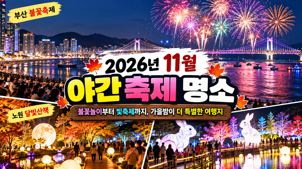 2026년 11월 부산불꽃축제 노원달빛산책 야간 축제