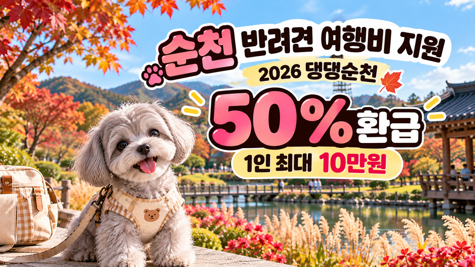 순천 반려견 여행비 지원 2026｜댕댕순천 반값여행 신청조건·50% 환급 총정리